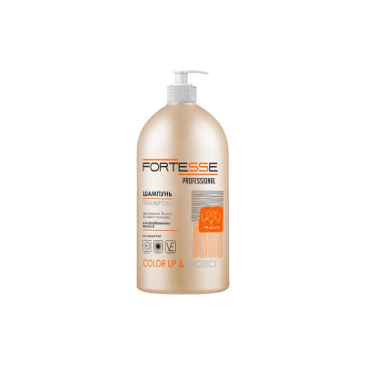 Шампунь Fortesse Professional Color Up & Protect Для фарбованого волосся Стійкість кольору 1000 мл (4820000306171)